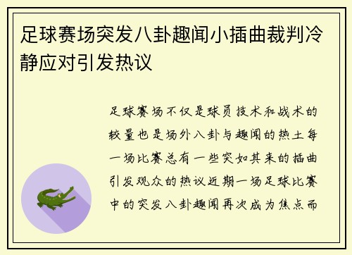 足球赛场突发八卦趣闻小插曲裁判冷静应对引发热议