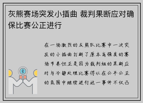 灰熊赛场突发小插曲 裁判果断应对确保比赛公正进行